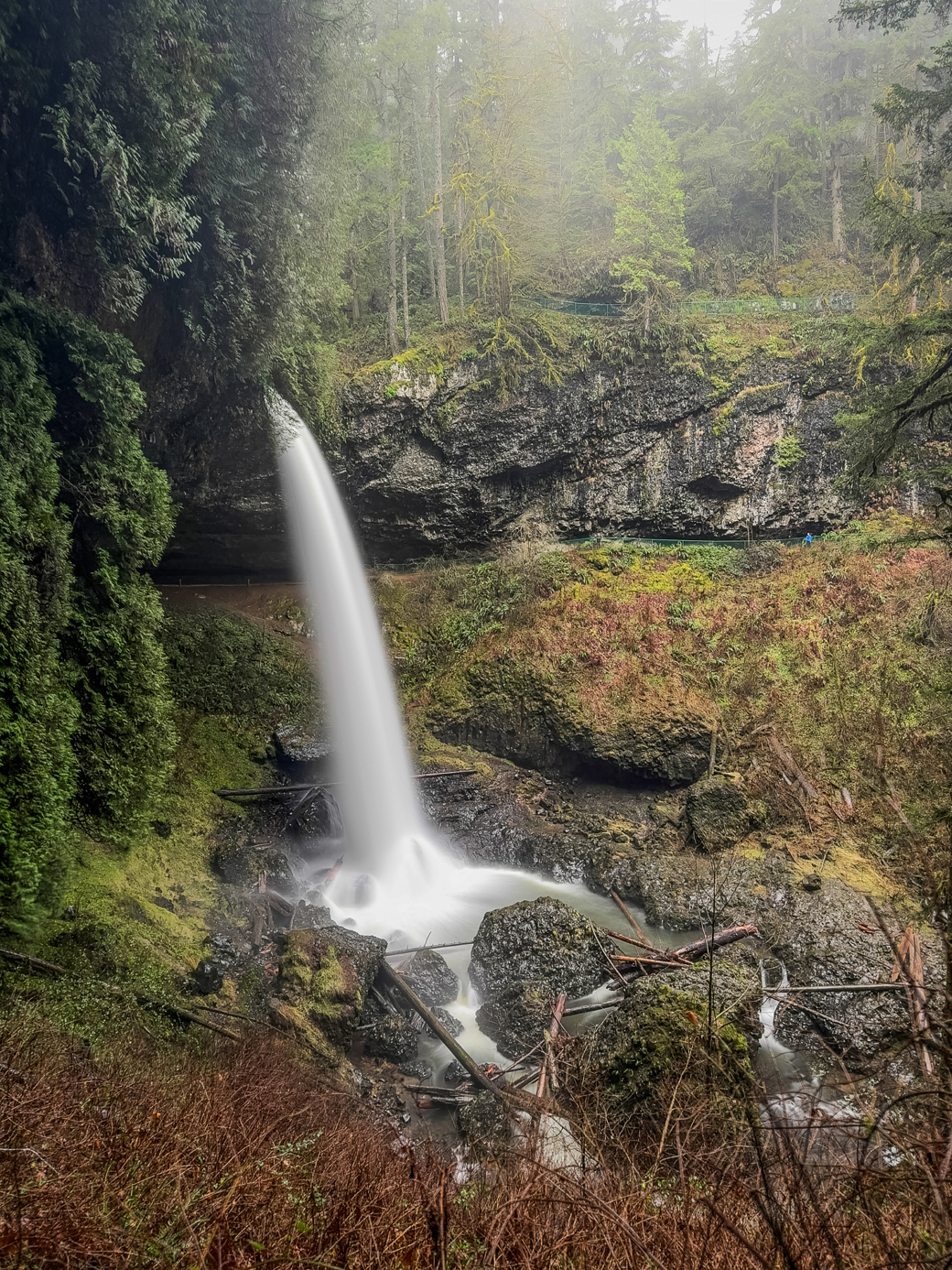 A waterfall surrounded by trees in a foggy forest.