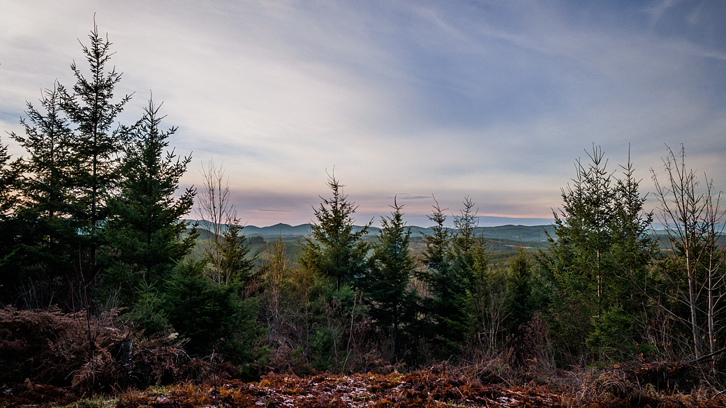 4312-2019-01-01-15-58-30-HDR