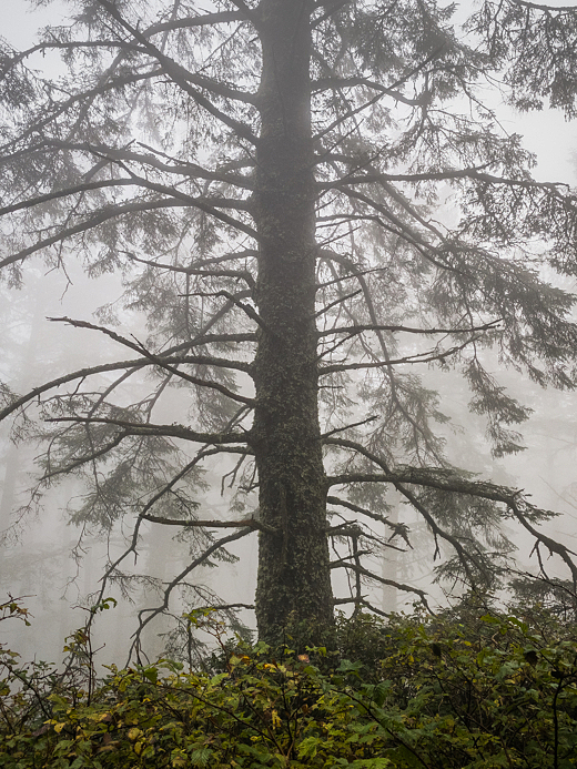9229-2019-11-05-15-55-39-HDR
